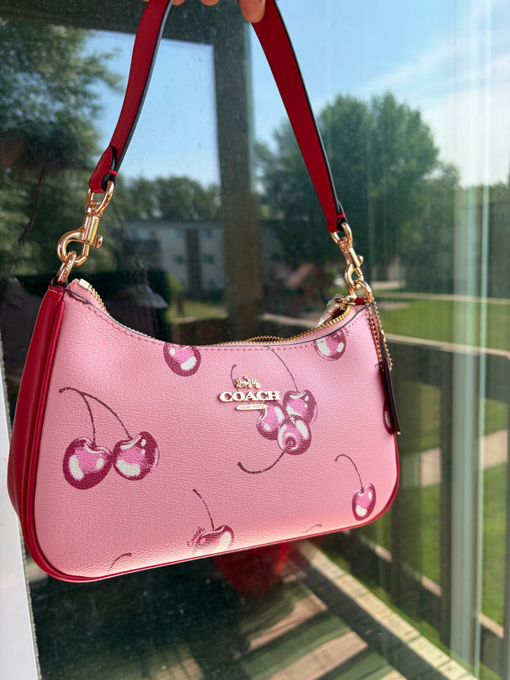 Cute cherry luxury bag