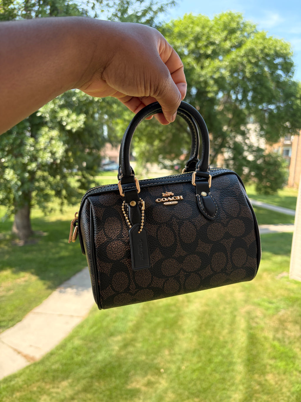 Brown cute Nano bag