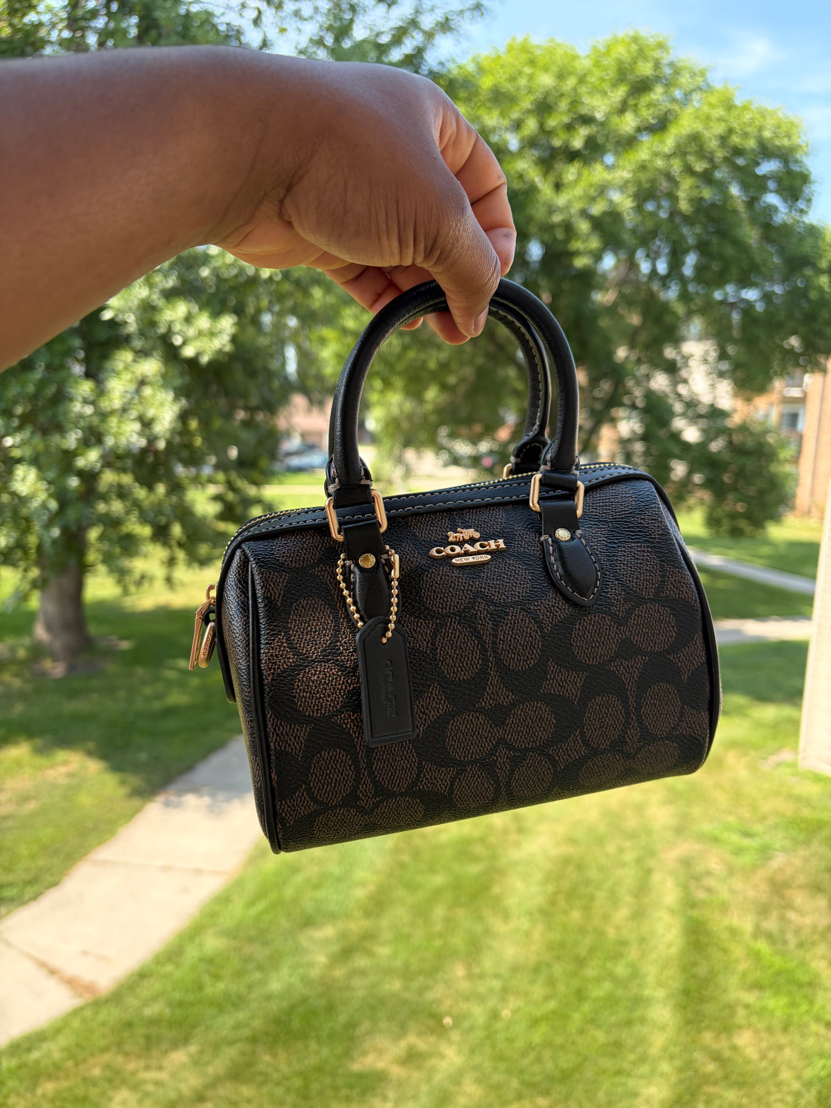 Brown cute Nano bag