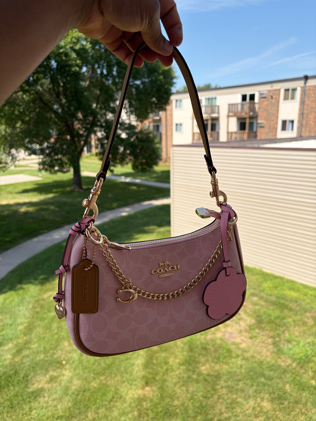 Cute pink luxury bag