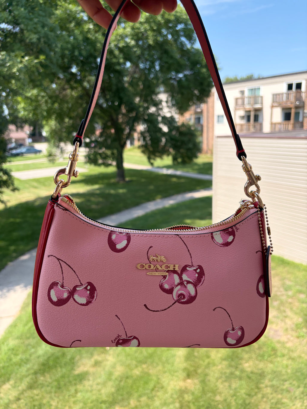 Cute cherry luxury bag