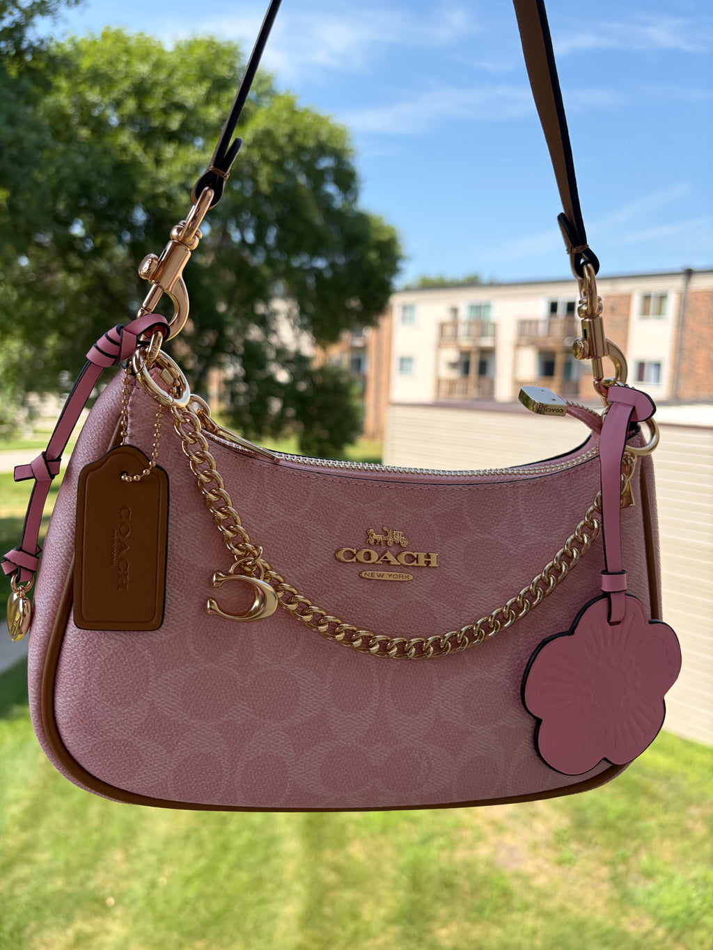 Cute pink luxury bag