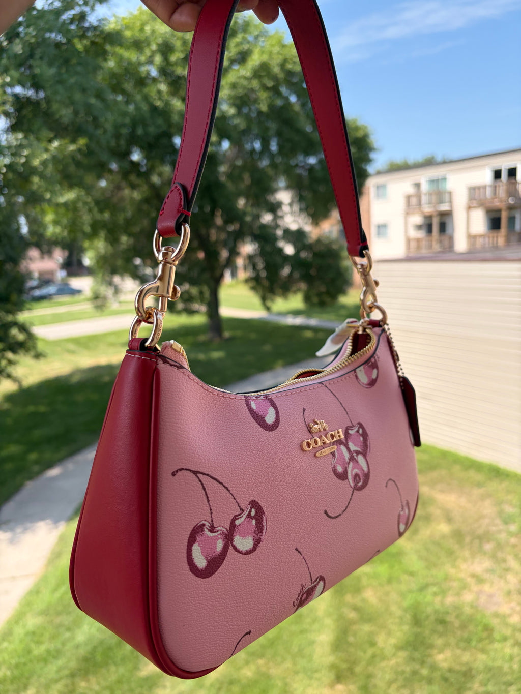 Cute cherry luxury bag